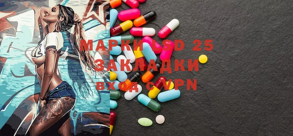 ПСИЛОЦИБИНОВЫЕ ГРИБЫ Баксан