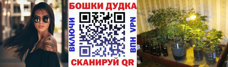 Канабис марихуана  как найти   Валдай 